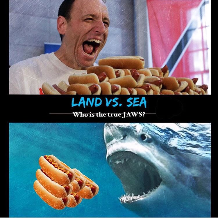 71 Hot Dogs in 10 minutes for <a href="/joeyjaws/">Joey Chestnut</a> on July 4th, but how would he do against a Bull or Galapagos shark?

<a href="/Discovery/">Discovery</a> <a href="/SharkWeek/">Shark Week</a> can we please find out?

<a href="/BobTheShark/">Bob The Shark</a> <a href="/VickySharky/">VickyShark🦈</a> <a href="/TheSharkDoctor/">Dr. Craig O'Connell</a> <a href="/mcmsharksxx/">Melissa Cristina Márquez</a> <a href="/GregSkomal/">Greg Skomal</a> <a href="/PauldeGelder/">Paul de Gelder</a> <a href="/jaglancy/">James Glancy</a> #SharkWeek