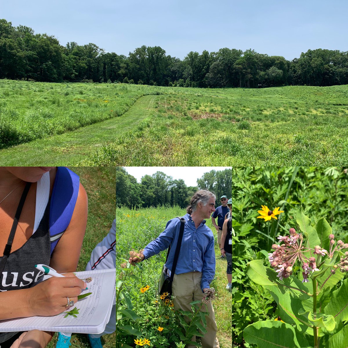 Greentree Day 2: Native vs Invasive plants, bug hotels, weather works, and more! #naturecampforus <a href="/teamteichman/">Corinne Teichman</a>