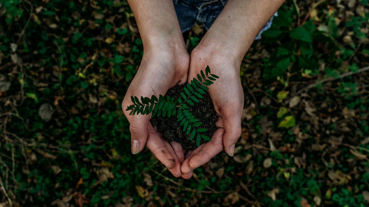 “Going green” is greatly beneficial to both universities and the students. Check out our list of the Top 5 Marketing Trends your school should be leveraging! hubs.ly/H0jJbP-0