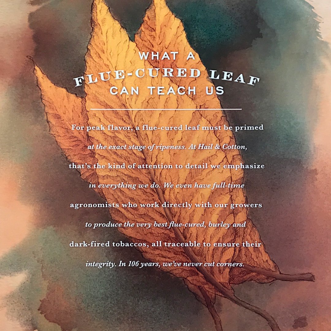 Locomotion Creative tweet media