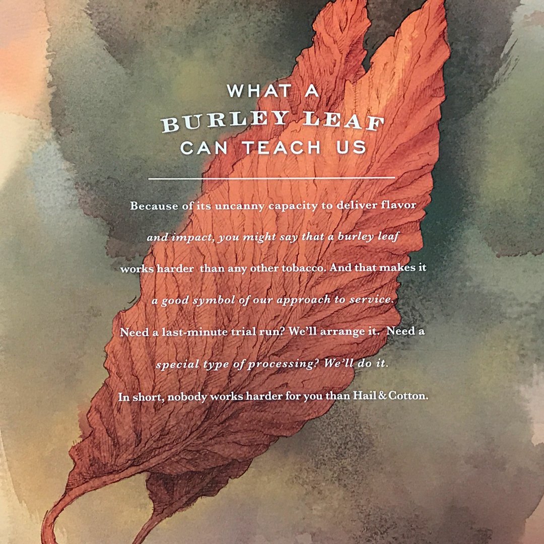 Locomotion Creative tweet media