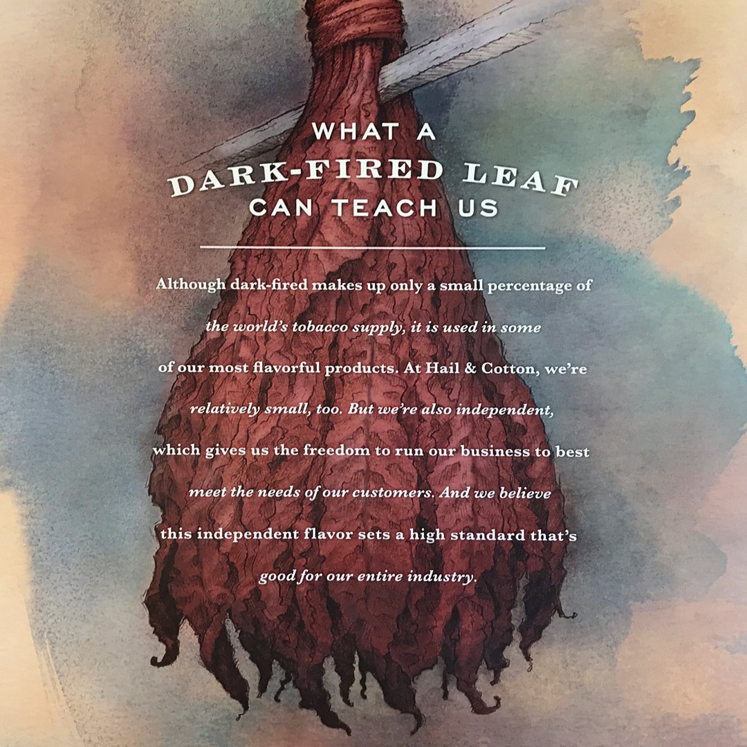 Locomotion Creative tweet media