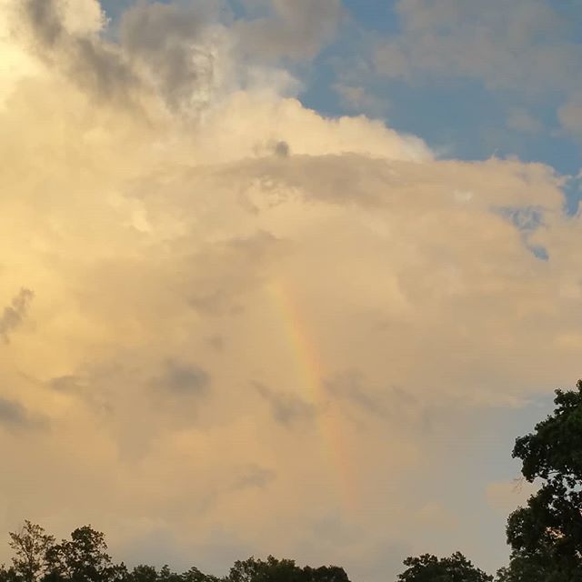dianedegiorgio's tweet photo. "There are things known and there are things unknown, and in between are the doors of perception." --Aldous Huxley

#

Are your doors open or closed? 
#aldoushuxley #somewhereovertherainbow #quoteoftheday #beinspired #intotheunknown #rainbow #delightintheunexpected #keepthed… https://t.co/ILLgahCOP5