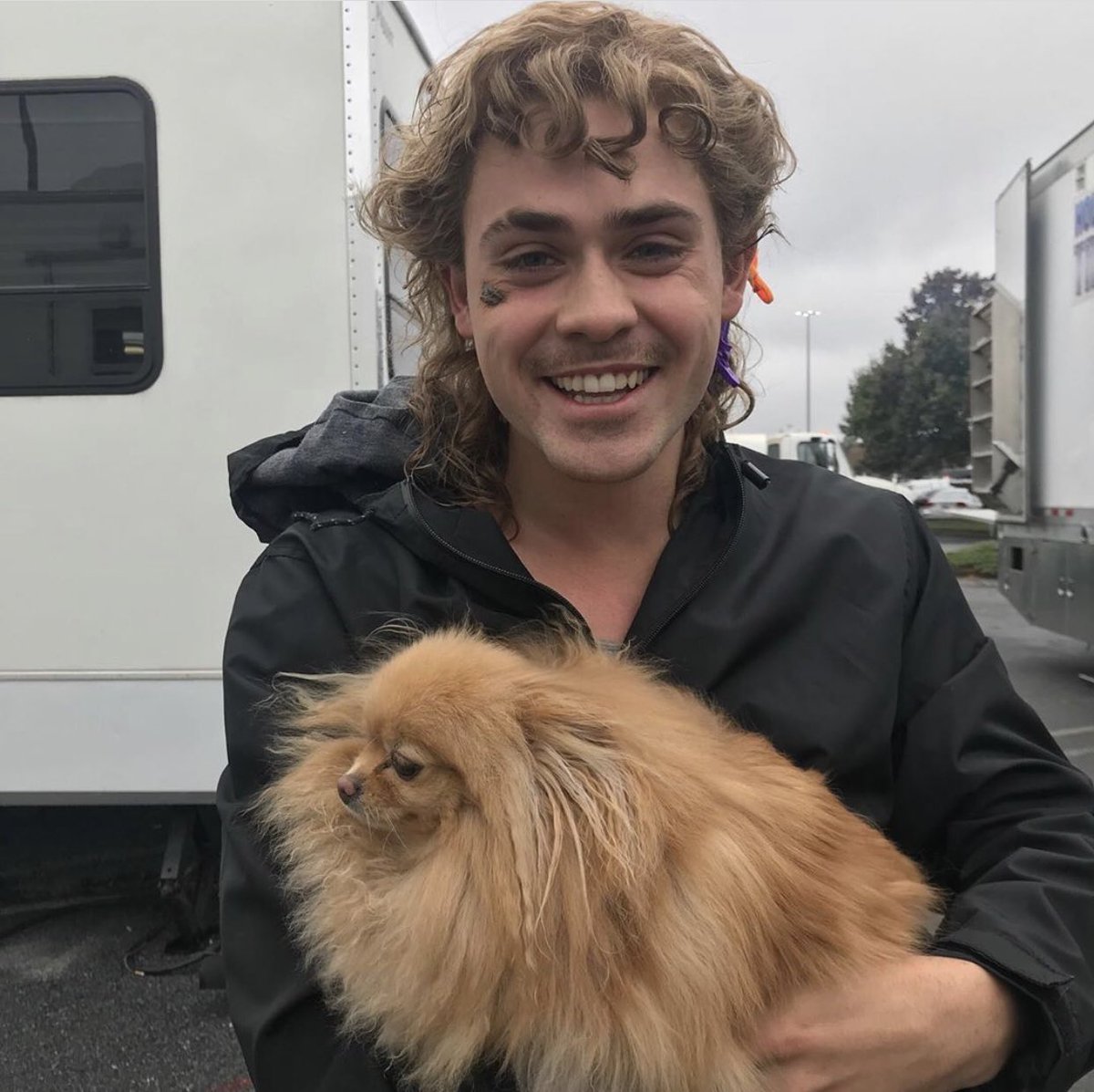 netflix's tweet photo. This dog is living my best life https://t.co/qH5y64zxws