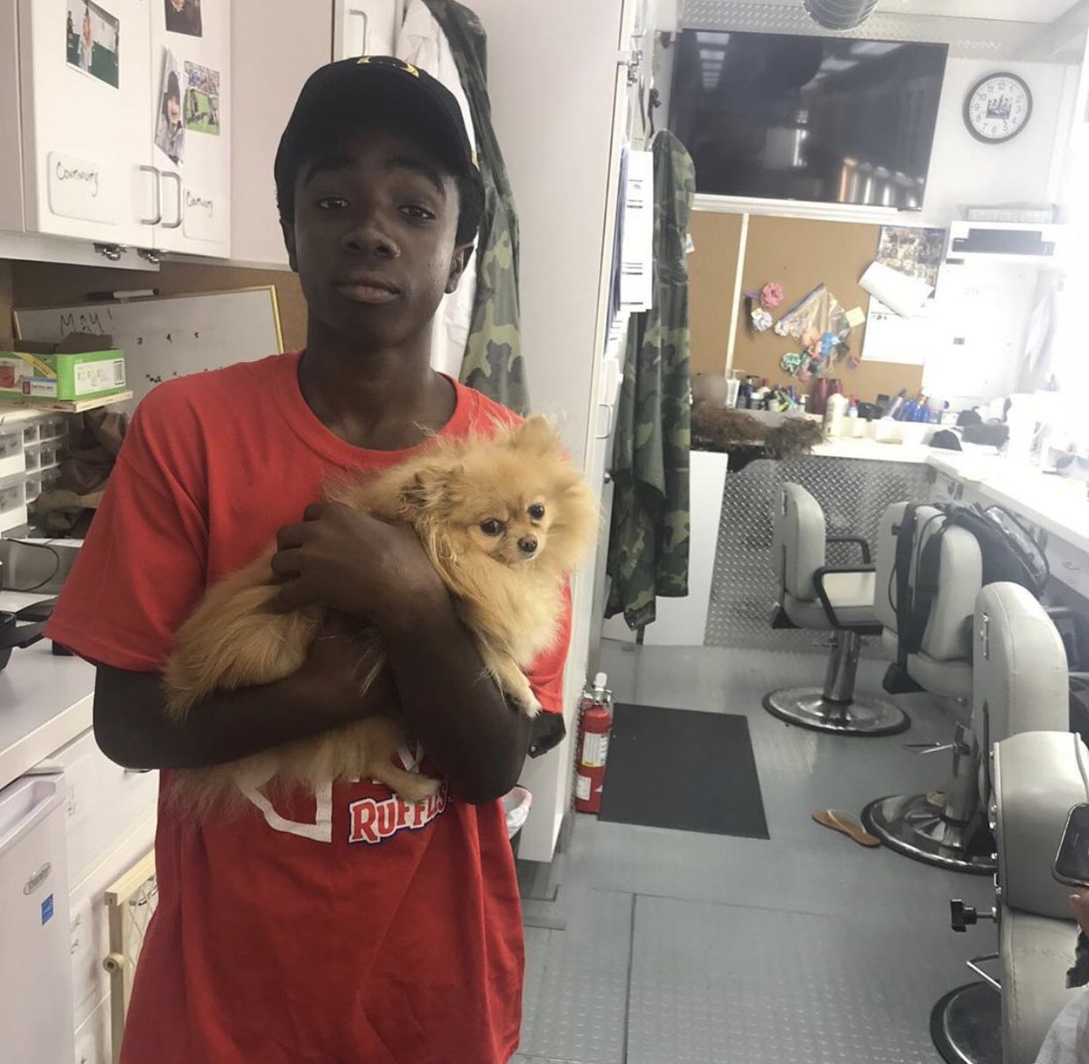 netflix's tweet photo. This dog is living my best life https://t.co/qH5y64zxws