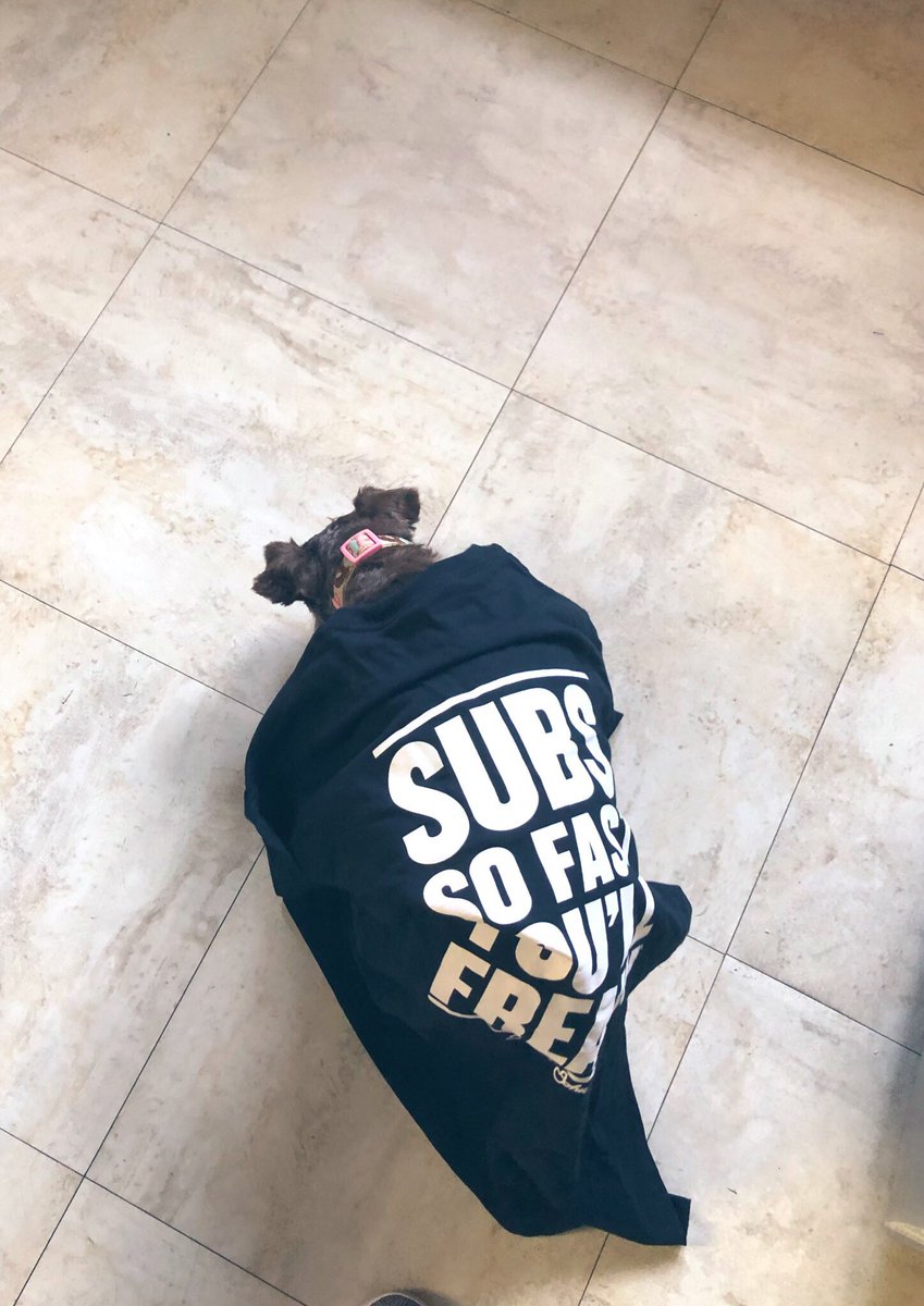 tinymegmcc's tweet photo. Jimmy John’s only hires good boys
#FreakyGood 🐶🥪 https://t.co/GEc2Zlpy4U