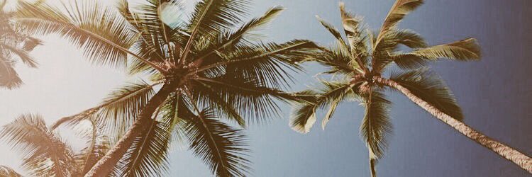 norrisprix's tweet image. here’s a suggestion if you wanna change your layout @GraysonDolan