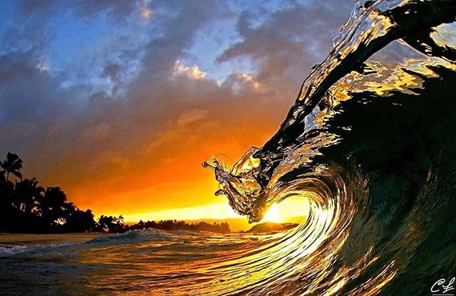 jeffjthompson's tweet photo. Reposting @mg_views_:
Iβm so obsessed with @clarklittle photography!! Such an inspiration! .
.
.
.
.
#perfection #ocean #palmtrees #Hawaii #clarklittle #nature #travelphotography #travel #vacation #vacationmode #paradise #ploynesian #waves #dreambig
#photography #photographer https://t.co/sccy0G34xs