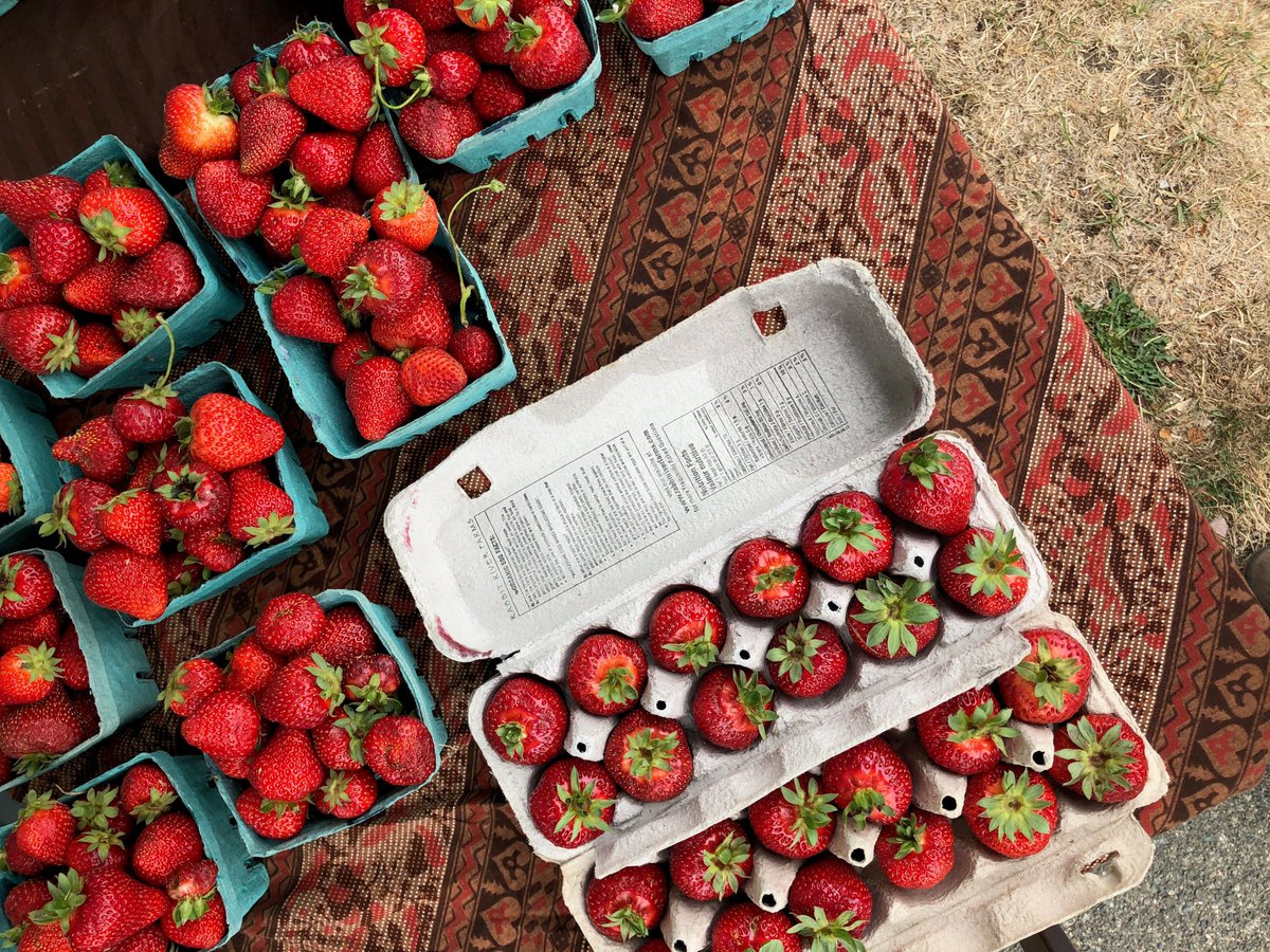 Destination Greater Victoria tweet media