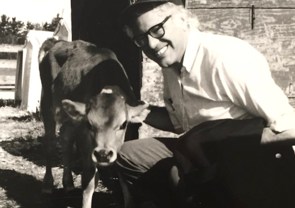 Bernie Sanders with a calf.