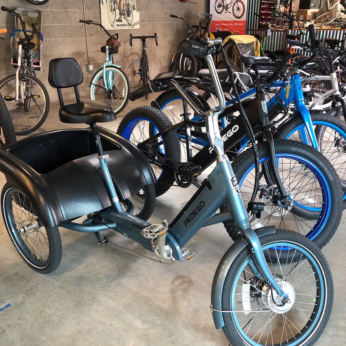 Surf Monkey Bikes tweet media