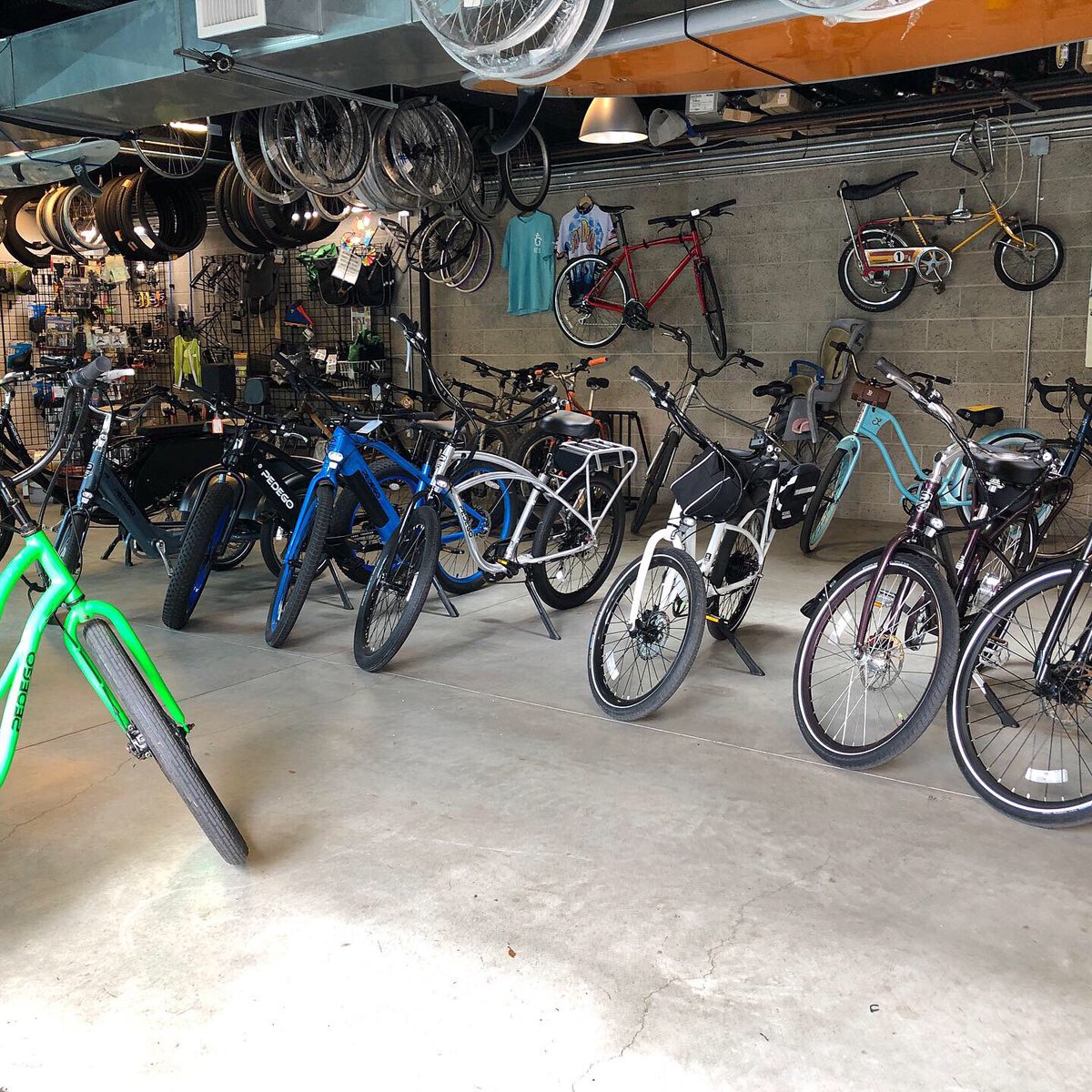 Surf Monkey Bikes tweet media