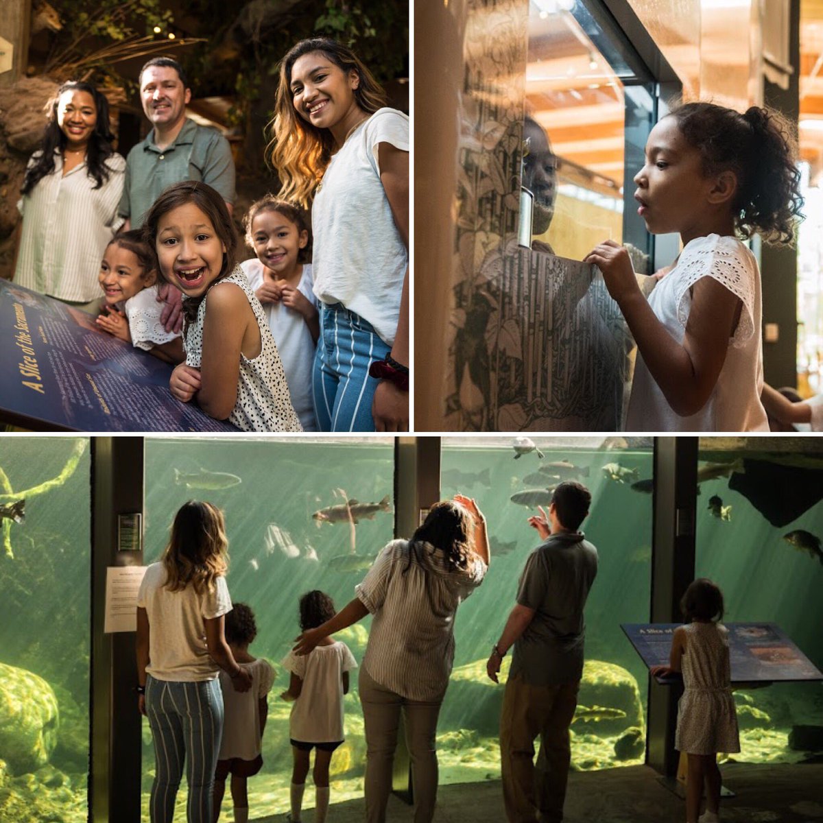 Create family memories at #TurtleBay! Explore our visible river aquarium, playgrounds, animals, historical exhibits, and world-class exhibitions! Access is included with paid Park admission and always free for members. Learn more at turtlebay.org!
