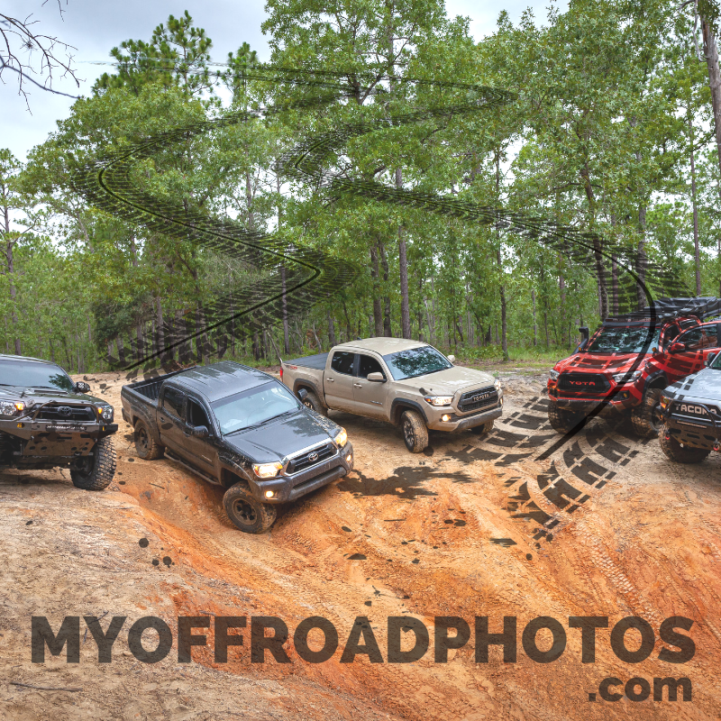 myoffroadphotos's tweet photo. Happy #TacoTuesday, #offroad fam! We ran into a herd of wild #tacos a couple of weeks ago in Citrus. Great day! Let's see your #ToyotaTacomas - reply and share! #toyota4x4 #toyotatacoma #toyotatacoma4x4 #toyotatacomaenthusiast #SENDIT #flauntyourrig #rigswag #rigbrag #4X4ing https://t.co/uS5LlqQI6J