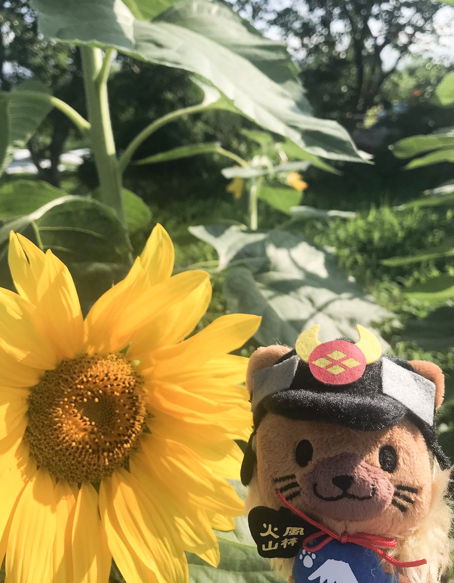 梅雨の合間 Hledani Na Twitteru