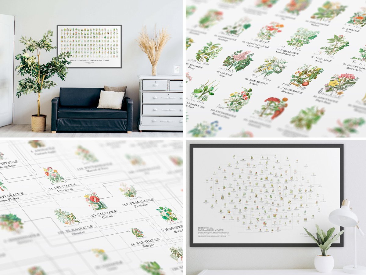 New project: I recreated and restored Elizabeth Twining's 1868 catalog, Illustrations of the Natural Orders of Plants, comprising 160 interactive illustrations and of course new posters: c82.net/twining. Plus, there's an in-depth blog post made: c82.net/blog?id=80