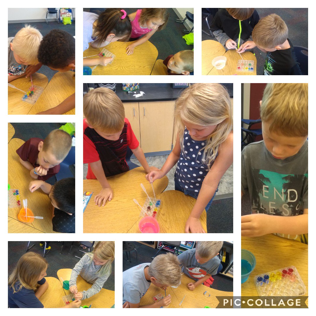 KatelynSorum's tweet photo. Liberty students in Katelyn Sorum's class have been learning all about water. Today they got to observe properties and experiment with mixing primary colors. #learnbps https://t.co/AECSCvuRHt