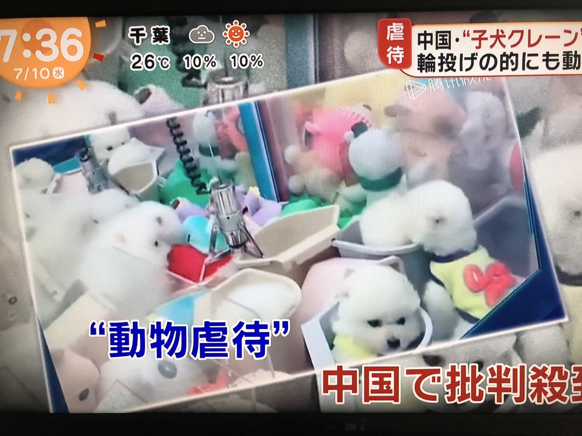 19年7月10日 めざましテレビで クレーンゲーム が話題に トレンドアットtv 19年7月10日 めざましテレビで クレーンゲーム が話題に トレンドアットtv