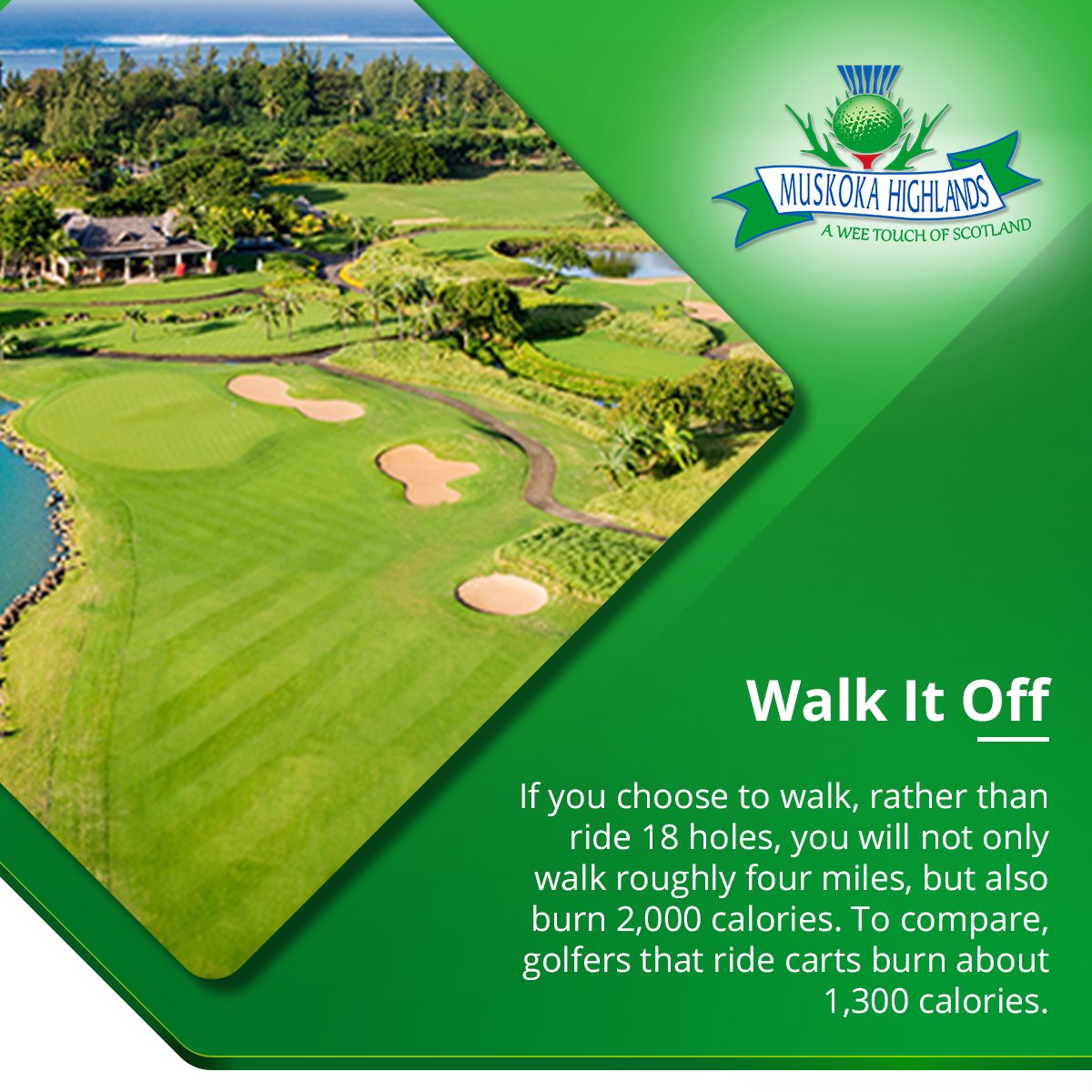 muskokahighland's tweet photo. ⛳ #Golf Poll : Do you prefer to walk🚶or ride? .
#golfforegood #golfing #Canada #Muskoka #golfchat #Poll #golfer #walking #golf https://t.co/XAwe7u3GZg