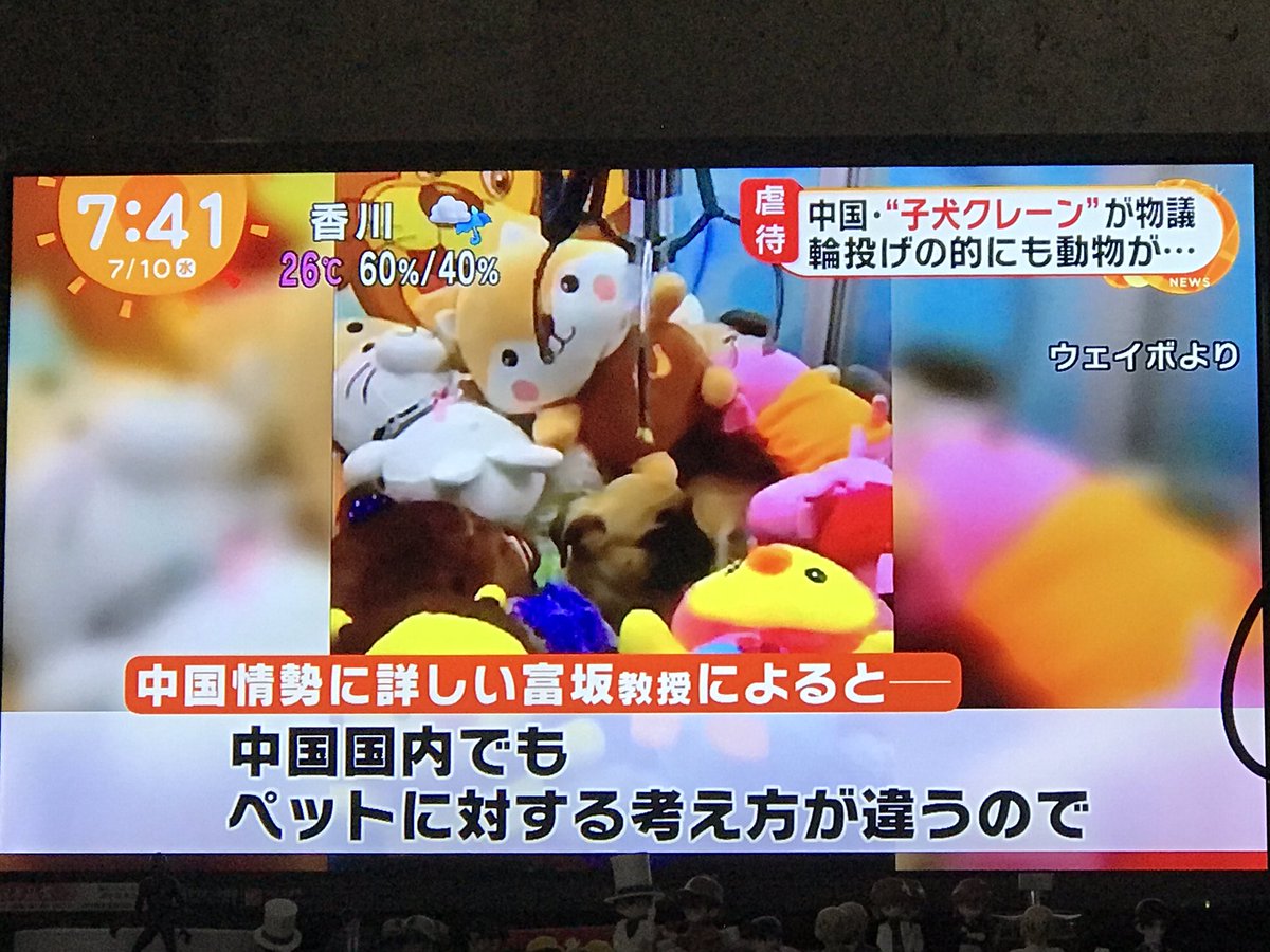 Nekokami 中国が悪 みたいな編集や放送するメディアに嫌悪感があります 子犬をクレーンゲームで景品にするのは虐待なのにカブトムシやクワガタの昆虫はいいのか 虫かごに入れた金魚を輪投げで景品にするのは虐待で 大きな水槽に入れて捕まえて景品に