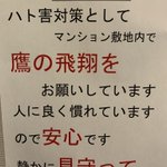 斜め上の対策？とあるマンションのハト害対策が斬新すぎる!