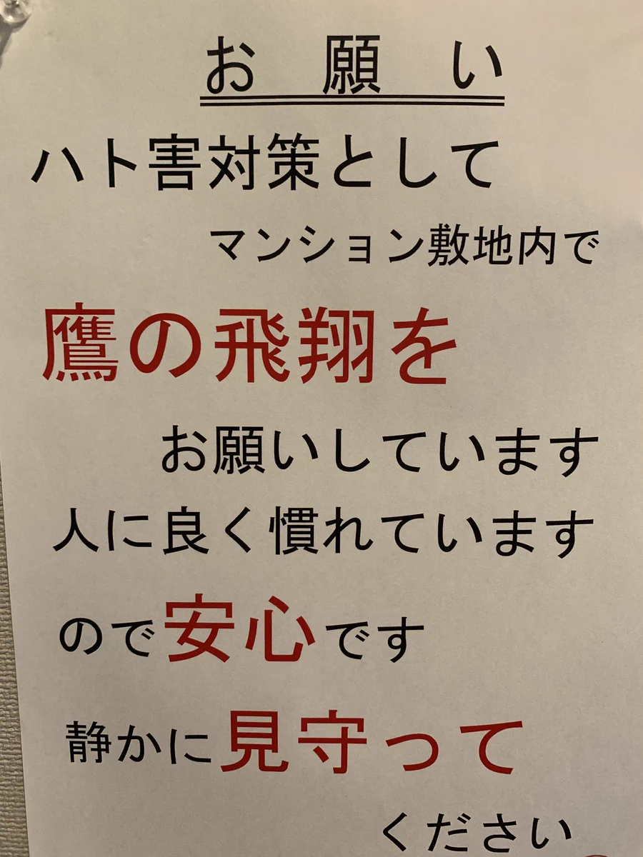 斜め上の対策？とあるマンションのハト害対策が斬新すぎるwww