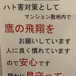 斜め上の対策？とあるマンションのハト害対策が斬新すぎる!