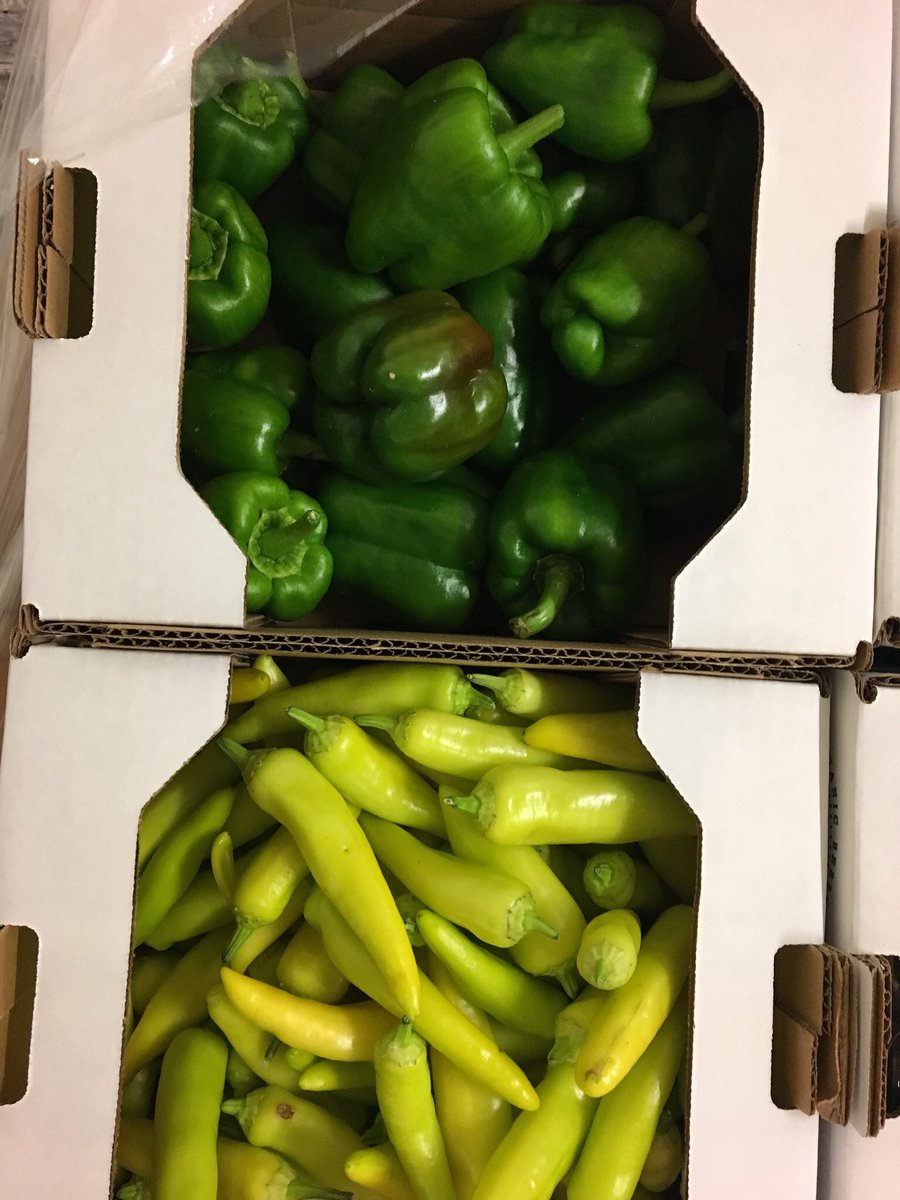 We couldn’t be more excited for the Grand Opening of The Fairhope Market tomorrow morning! Look at some of the delicious stuff we’re growing to help stock the shelves with fresh and local goodness!

#weeksbayplantation #organic #farm #shoplocal #eatlocal #fairhopealabama