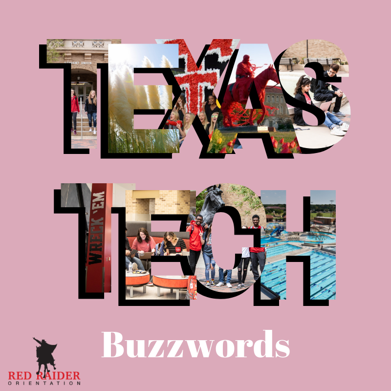 TexasTechRRO's tweet photo. R Number, eRaider, SUB...🤔 Are these terms you've been asked but not sure what they mean? ➡️Swipe through to see terms you will come across as a Red Raider!
.
.
.
#RRO19 #TTU23 #wreckem https://t.co/Vu6dc0RBLg