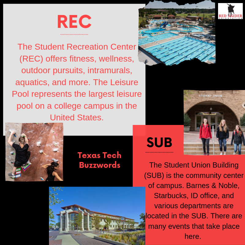 R Number, eRaider, SUB...🤔 Are these terms you've been asked but not sure what they mean? ➡️Swipe through to see terms you will come across as a Red Raider!
.
.
.
#RRO19 #TTU23 #wreckem