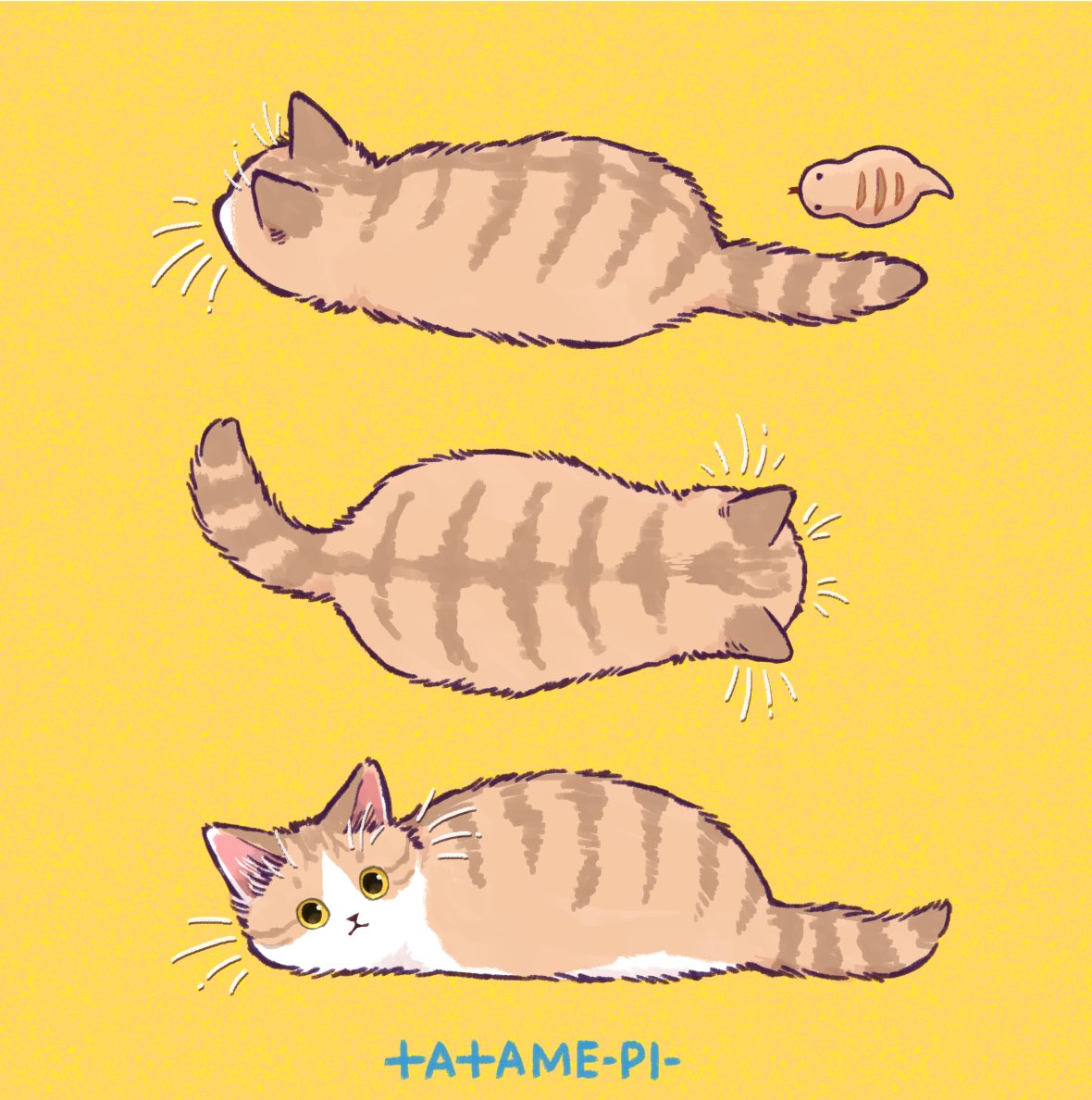 Pi-pi bent "морской бриз" наполнитель комкующийся для кошек, 12л. Pi pi bent наполнитель. Рисунки для срисовки для мальчиков 9 лет. Pi pi bent наполнитель. На волге пи котов.