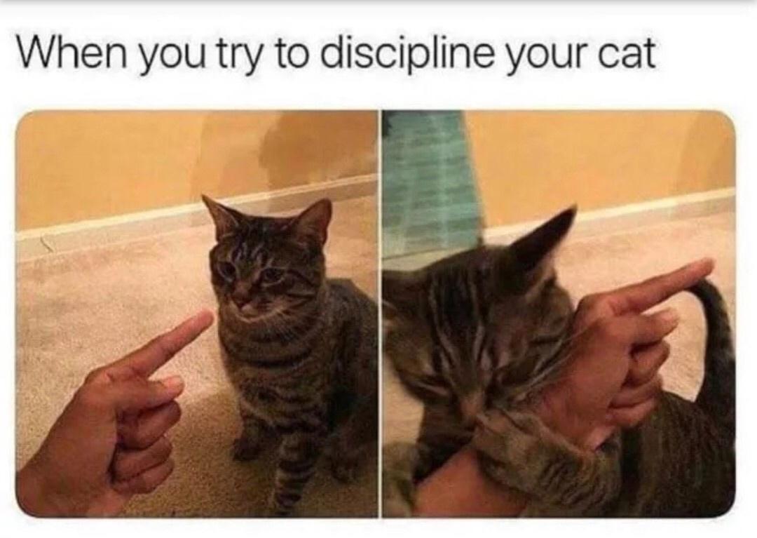 ehrong's tweet photo. Accurate. https://t.co/UrSXCAzQqp