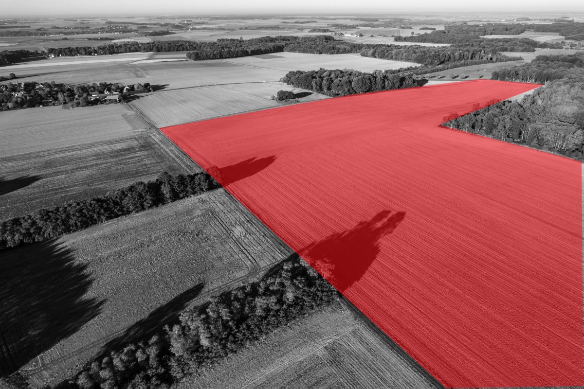 GresseyV's tweet photo. A 1 poule près on aurait eu droit une étude de danger une étude d'impact et une vraie enquête publique ... A 40 000 poules non... #ICPE  #installationclassee #enregistrement #poulailler #elevageavicole #etudededanger #nuisances @sfoucart @N_Hulot https://t.co/Ad1or1wrXE