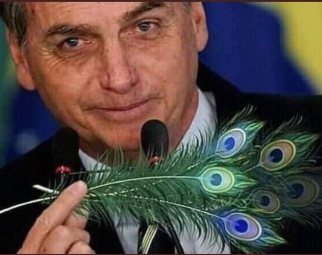 fecrisoliveira's tweet photo. #BolsonaroAte2026   
O pavão voltou! https://t.co/AFNLSYX2vD