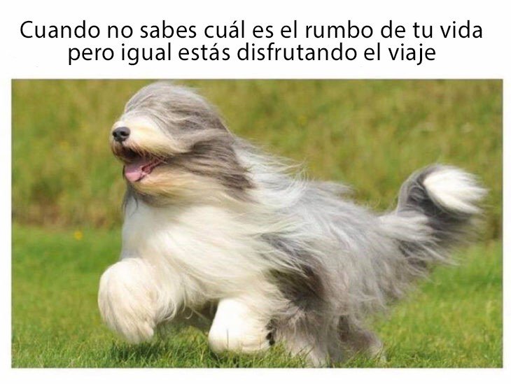 ueno lo que importa es disfrutar del camino!