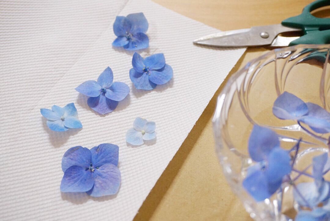 押し花の作り方