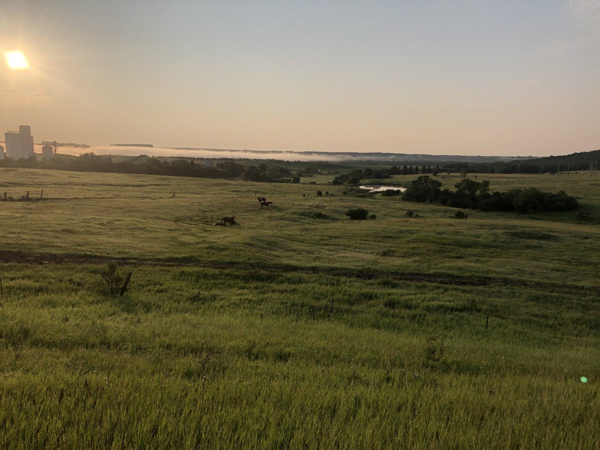 JeremyShefner's tweet photo. The last two days we have been biking west through North Dakota. The eastern portion was the most flat area I have ever seen; you could look toward the horizon in all directions #Bike4MS

Tomorrow we head to Bismark &amp; have a *much* needed rest day! https://t.co/qojerNado2