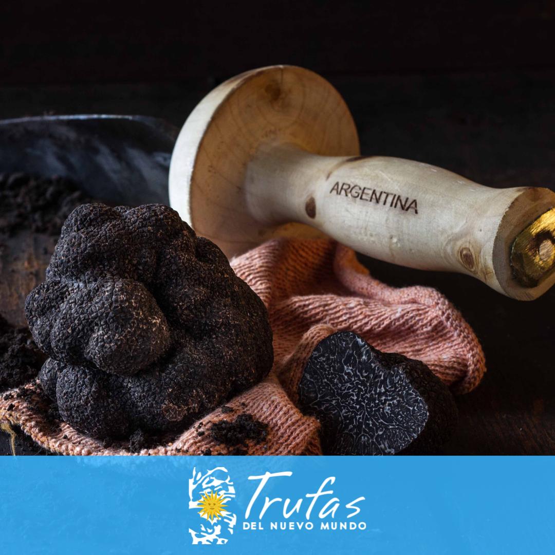 #FelizDiaDeLaIndependencia 🇦🇷 a todos los argentinos. Celebramos la independencia #argentina, que nos permitió crear nuestra propia historia.
Las #trufas ya escriben su historia en el Nuevo Mundo.

#DiaDeLaIndependencia #CocinerosArgentinos