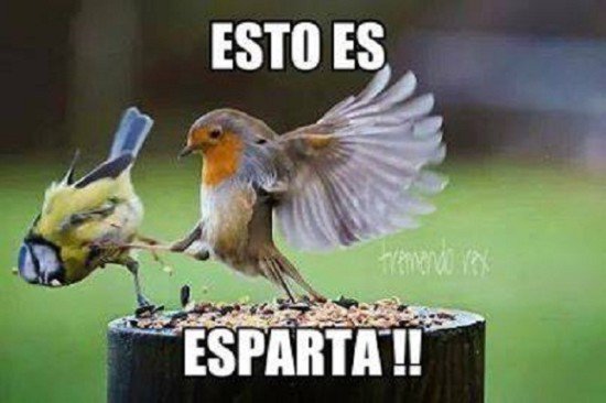 - "Esto es Esparta en la vida real!