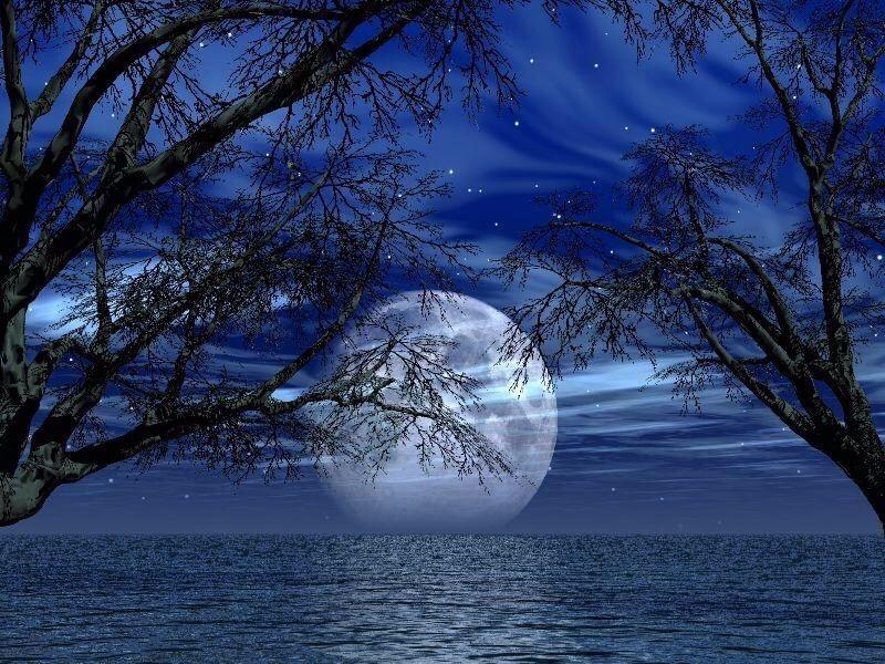 FreddyBeltranP's tweet photo. Good Night  🌙 
        Twitter Planet  🌏

#moon #nature #life #Earth #Photography
#EnssaysDisings #kikahostal #Ourplanet 
#DiscoverAdventure #Art #BigHouseHostel https://t.co/xUVfgIvOti