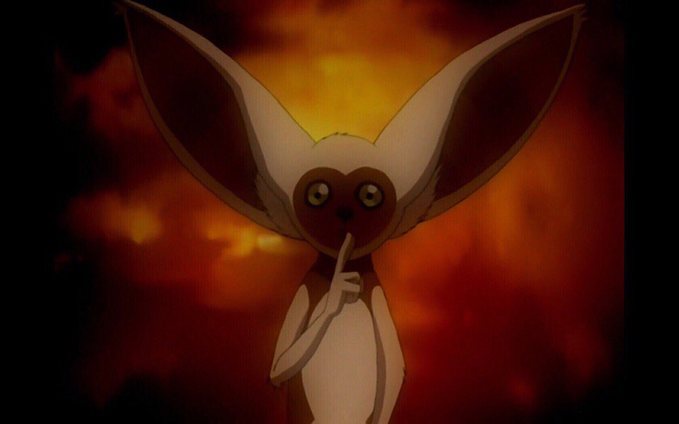 Летающий лемур момо. Момо аватар. Летающий лемур момо. Летающий лемур момо. Момо аанг.