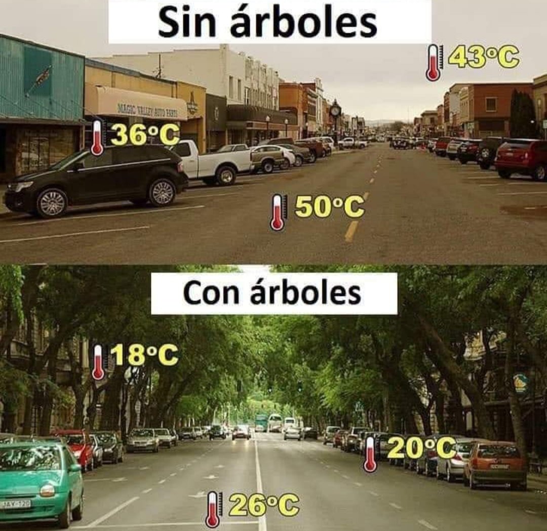 correaricky28's tweet photo. Necesitamos una ciudad mas verde,es el momento de reforestar @chitreano100 https://t.co/BKEVaLKMrd