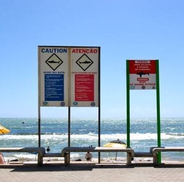 Pq acontecem tantos ataques de tubarão em Recife e RMR: 

SEGUE A THREAD: