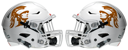 TexasHSHelmetProject tweet media