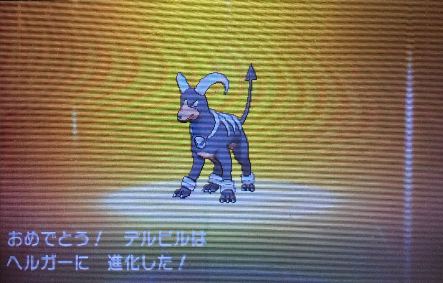 スラヨシ アンテ ポケダン空ネタバレしないでね サナギラス 9 38 45 7分 動き回ったら中身はどうなる トランセルはサナギラスを見習ってほしい ぇ T Co Lxbjhpel6r Twitter