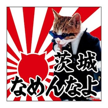 Unseen Japan Blm だよ On Twitter In The 80s A Man Took Some Doll Clothes His Ex Had Left Behind And Dressed Up Four Cats As Street Thugs The Name Neko なめ猫