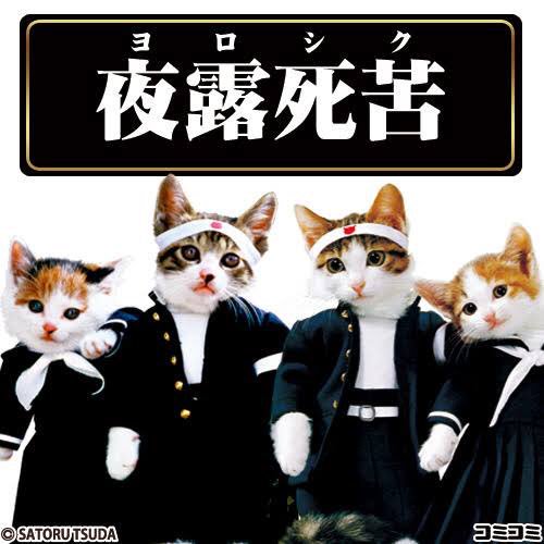 Unseen Japan Blm だよ In The 80s A Man Took Some Doll Clothes His Ex Had Left Behind And Dressed Up Four Cats As Street Thugs The Name Neko なめ猫