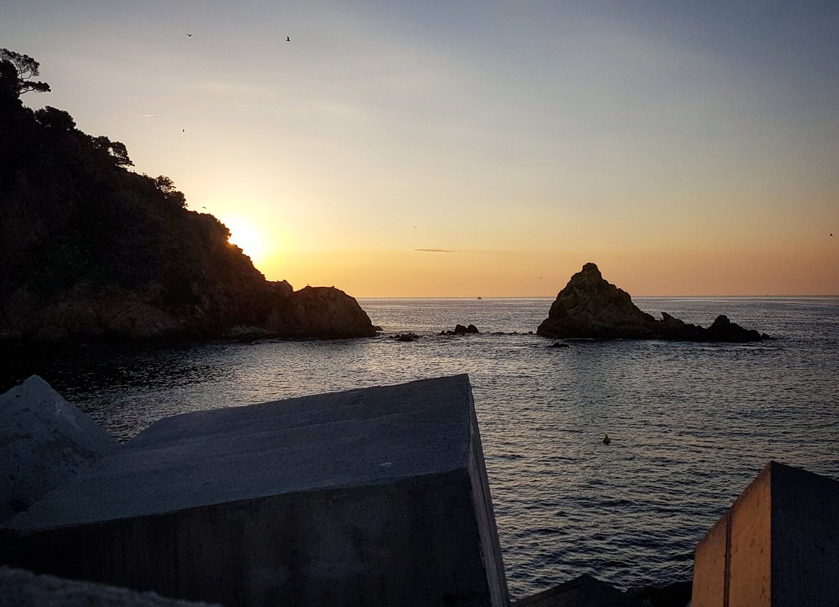 GispertJulia's tweet photo. Sortida de sol a Blanes. Punta de Santa Anna.
#Blanes #CostaBrava #mar #mer #sea #mediterrània #puntaSantaAnna #surtelsol #bondia #324eltemps #gemmapuigf #nofilters https://t.co/Cxr3yuImRM