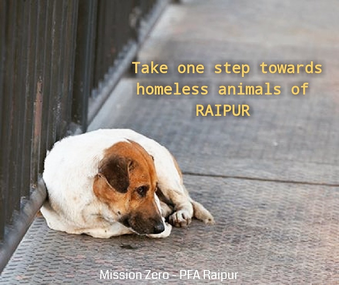 Vatika Animal Sanctuary 🐓🐕🐂🐒🐎🐩🐿️🐦 on Twitter: Vatika Animal Sanctuary 🐓🐕🐂🐒🐎🐩🐿️🐦 on Twitter: