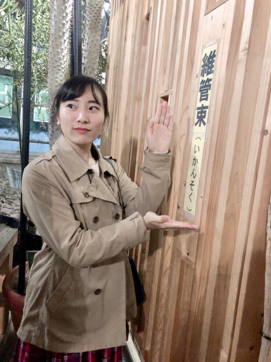 南山大学国際教養学部